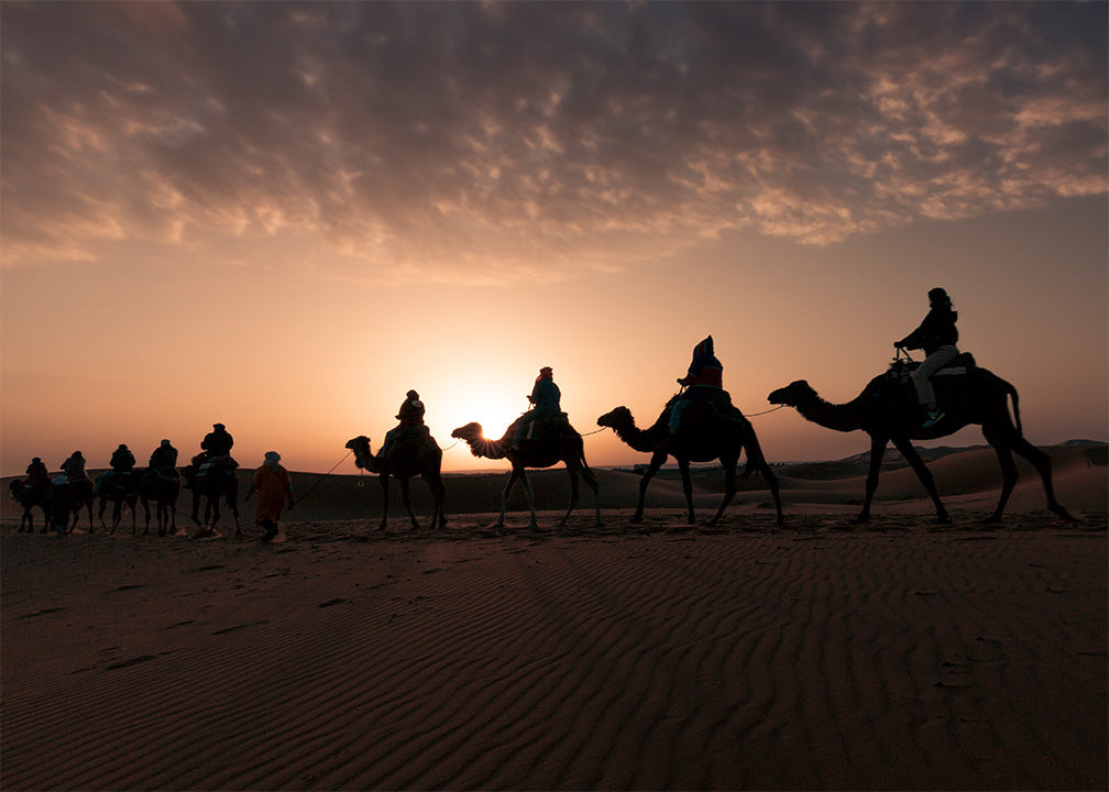 Merzouga Golden Horizons